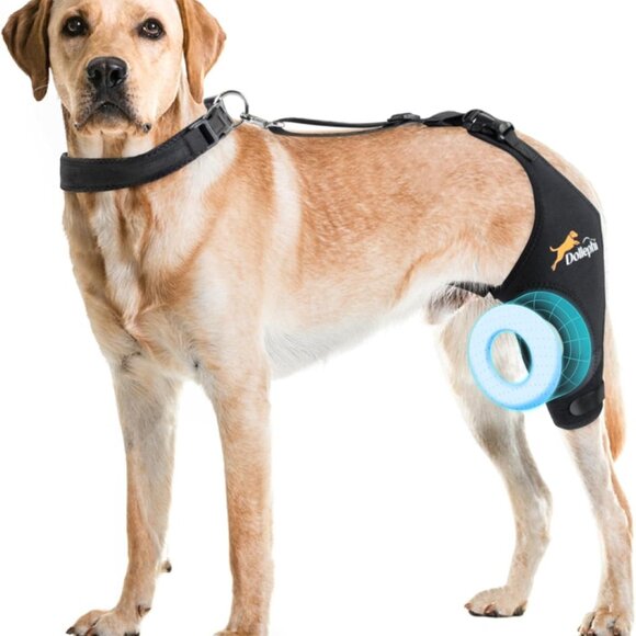 Dog Knee Brace for Torn ACL Hind Leg Hot/Cold Compress patella dislocation Left - Picture 1 of 6